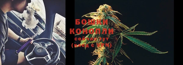 ПСИЛОЦИБИНОВЫЕ ГРИБЫ Абаза