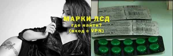 ПСИЛОЦИБИНОВЫЕ ГРИБЫ Абаза