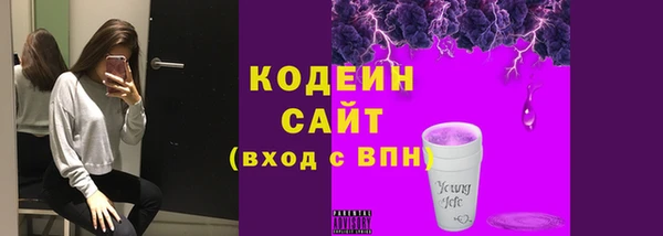 ПСИЛОЦИБИНОВЫЕ ГРИБЫ Абаза