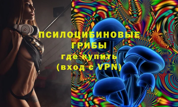 ешки Абдулино