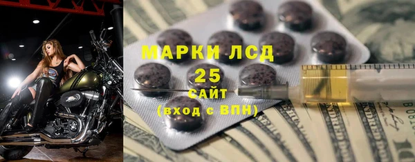 ПСИЛОЦИБИНОВЫЕ ГРИБЫ Абаза