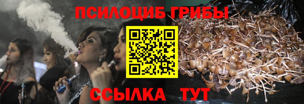 Галлюциногенные грибы GOLDEN TEACHER Кинешма