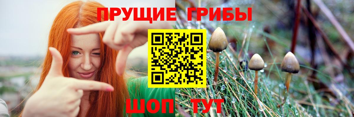 Кинешма  цены наркотик  Вход с VPN  Галлюциногенные грибы Psilocybe 